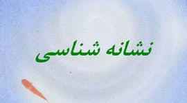 
	پاورپوینت نشانه شناسی
