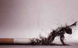 
	پاورپوینت مسیر اعتیاد
