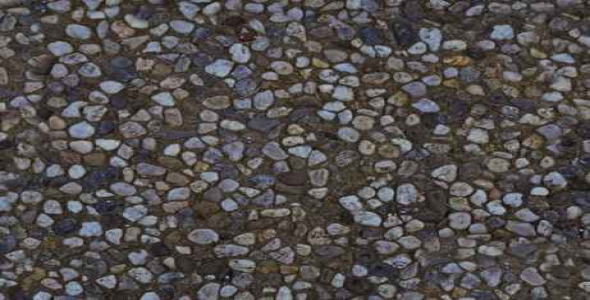 پاورپوینت بافت