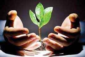 
	پاورپوینت آموزش و پرورش و توسعه
