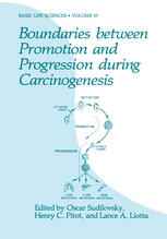 Boundaries between Promotion and Progression during Carcinogenesis