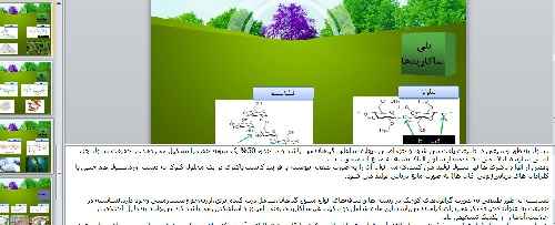 پلیمرهای طبیعی 