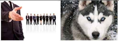 
	تحقیق مشابهت نام حیوان و خصوصیات آن با واحد مشابه در سازمان
