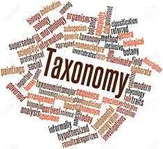 
	پاورپوینت تاكسونومي بند پايان كنه ها
