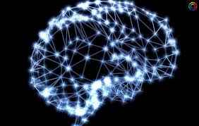 
	پاورپوینت بررسی شبکه های عصبی و طبقه بندی کننده های مرسوم
