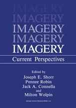 Imagery: Current Perspectives