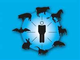 
	تحقیق بيماري هاي مشترك انسان و دام (زگونوزها)
