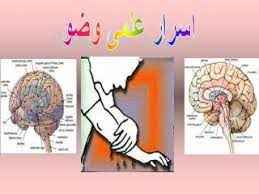 
	پاورپوینت اسرار علمی وضو
