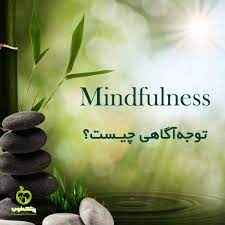 
	پاورپوینت مایندفولنس
