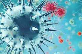 
	پاورپوینت متخصص بیماری های عفونی
