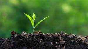 
	پاورپوینت حاصلخیزی پیشرفته
