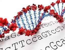 
	تحقیق واكسن‌ هاي نو تركيب در درمان سرطان‌ هاي معده‌اي و روده‌اي
