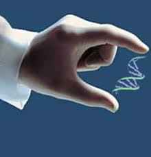 
	تحقیق آماده کوچک سازی و اثرات آن در سازمان
