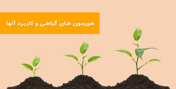 
	پاورپوینت هورمون های گیاهی و کاربرد آن در گیاه
