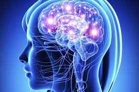 
	پاورپوینت فارماکولوژی سيستم عصبی خود مختار(ANS)
