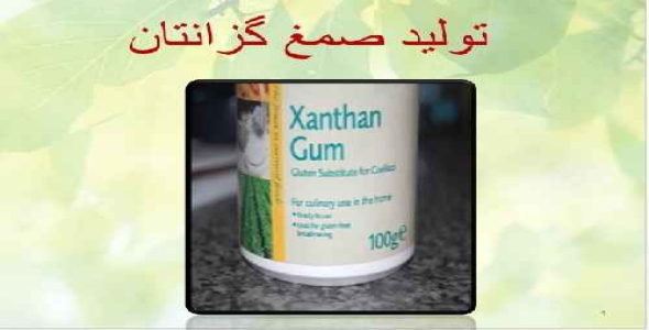 صمغ زانتان (Xanthan Gum)