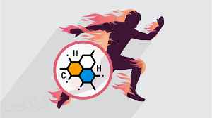 
	پاورپوینت بیوانرژتیک
