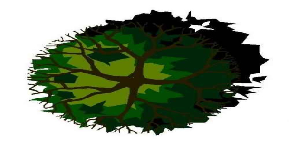 فایل اتوکد دو بعدی آبجکت پلان درختان به صورت رنگی