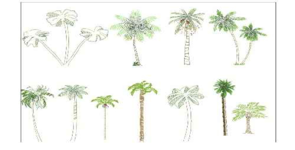 فایل اتوکد دو بعدی آبجکت درخت به صورت رنگی و سیاه و سفید (مورد استفاده در طراحی مقاطع)