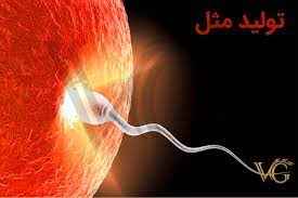 
	پاورپوینت تولید مثل
