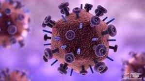 
	پاورپوینت ویروس شناسی
