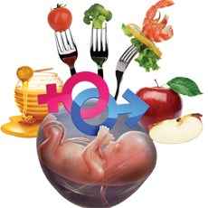 
	پاورپوینت انتخاب جنسیت جنین از طریق تغذیه
