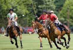 
	پاورپوینت ورزش چوگان
