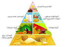 
	پاورپوینت هرم غذایی
