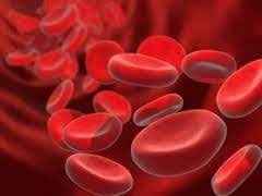 
	پاورپوینت تک یاخته های خونی و بافتی انسان
