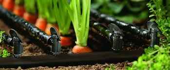 
	پاورپوینت طراحی سیستم های آبیاری قطره ای
