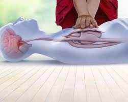 
	پاورپوینت احیای قلبی ریوی CPR
