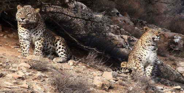 
	پاورپوینت پارک ملی تندوره
