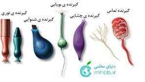 
	پاورپوینت انواع گیرنده ها و حواس
