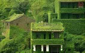 
	پاورپوینت انسان طبیعت معماری
