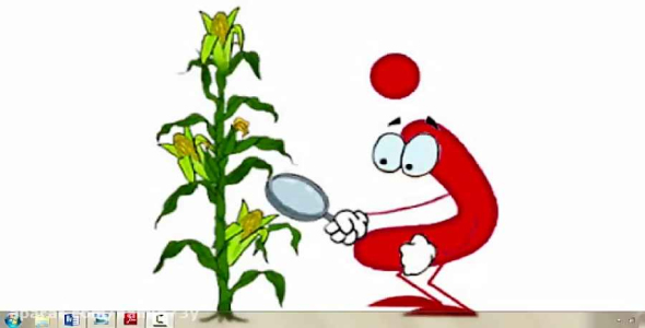 
	پاورپوینت آموزش حرف ذ کلاس اول ابتدایی
