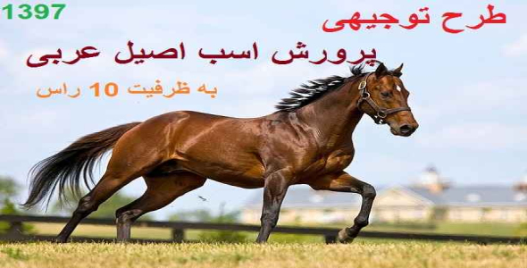 
	طرح توجیهی پرورش اسب عربی 1397
