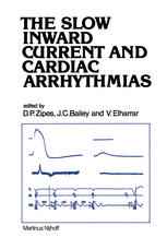 The Slow Inward Current and Cardiac Arrhythmias