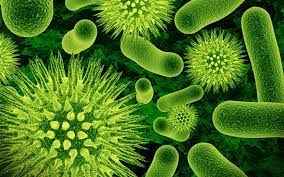 
	تحقیق كاربرد ميكروارگانيسم ها در توليد آنتي بيوتيك ها و ارتباط آن
