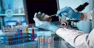 
	پاورپوینت کنترل کیفی در آزمایشگاه میکروب شناسی
