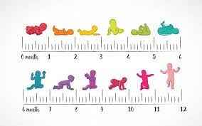 
	پاورپوینت رشد وتکامل در 3تا1 سالگی
