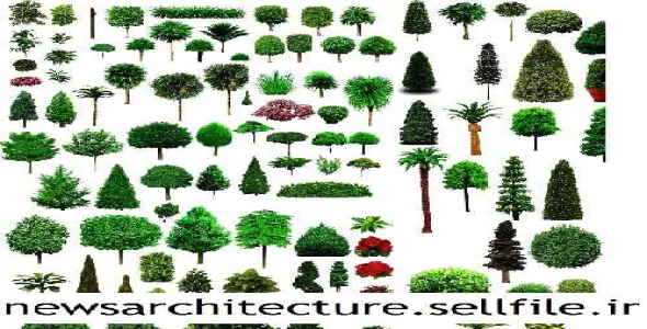 طرح لایه باز فوتوشاپ ( درخت ) 