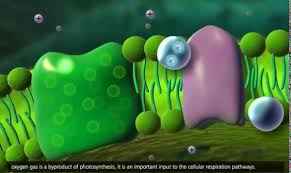 
	تحقیق واكنش هاي تاريكي
