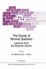The Nuclei of Normal Galaxies: Lessons from the Galactic Center