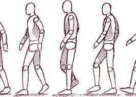 
	پاورپوینت مکانیزم راه رفتن انسان
