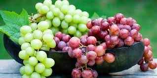 
	پاورپوینت تغذیه بهینه باغات انگور
