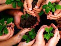 
	تحقیق ابعاد حمايت كيفري محيط زيست
