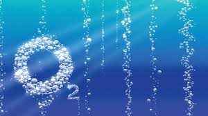 
	پاورپوینت اكسيژن
