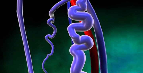 
	پاورپوینت واریس، علت و درمان آن
