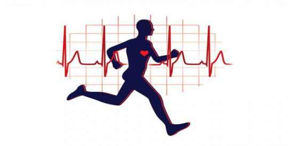 
	تحقیق ورزش براي زندگي
