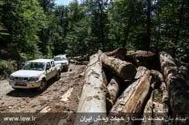 
	تحقیق گروه حفاظت از جنگل و مراتع
